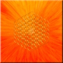 Druck auf Leinwand 10 --- "Welt der Wunder" --- Goldfarbene Blume des Lebens auf orange farbenem strahlendem Hintergrund